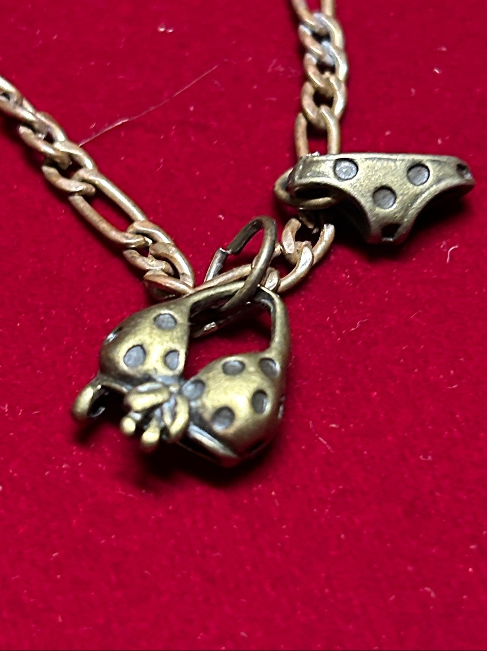 Rust color anklet with bikini bottoms and top Charm Women Jewelry